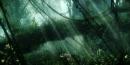 Avatar mit der Cryengine: Fotorealistisches Setting, atemberaubende Bilder und tolles Video [Bilder des Tages]