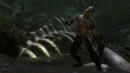 Kingdoms of Amalur - Reckoning: Neues Entwicklervideo stellt Spielwelt vor