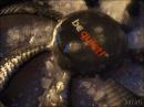 Be Quiet Shadow Wings SW1 und Silent Wings SW2 im PCGHX-Check - mit frostigen Bildern