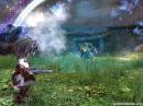 Guild Wars 2: Warum die Collector's Edition in Europa angeblich teurer ist
