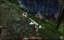 Guild Wars 2: Zweites Beta-Wochenende kommt erst nach Hardware-Aufrüstung der Spiele-Server