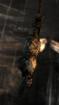 Tomb Raider: Neuer Screenshot von Lara Croft