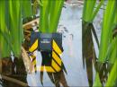 Adata Dashdrive: USB-3.0-Festplatte im absoluten Härtetest mit Eis, Froschattacke, Wasser und Matsch im Video
