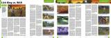 Screenshot zu PCGH-Webseite - 2008/09/EXT_Featurevergleich.jpg