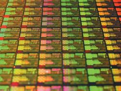 Miniwelt: Kerne eines Athlon XP auf einem Silizium-Wafer. Ungeschnitten, wie hier zu sehen, laufen die Wafer in Dresden vom Band. (Quelle: AMD)