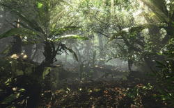 Crysis Jungle Map: Die Original-Map wurde 2006 von Crytek genutzt, um beeindruckende Dschungelszenen aus Crysis vorzuführen. Quelle: Crymod-Forum