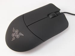 Razer Salmosa