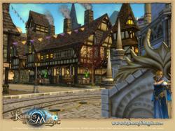 Runes of Magic (28)