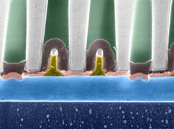 Zwei Transistoren in Silicon On Insulator Technologie auf einer IBM Power6 CPU