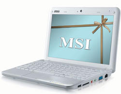 Dank des neuen BIOS 1.09 lässt sich MSIs Wind U100 nunauch übertakten. (Bild: MSI)