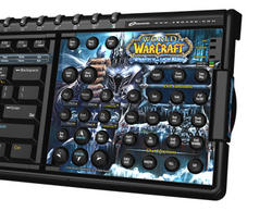 Zboard für World of Warcraft: Wrath of the Lich King (Bild: gamingstore.de)