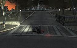 Grand Theft Auto 4 (6)
