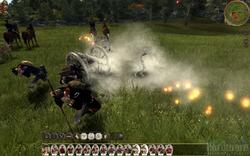 Empire: Total War (11)