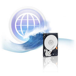 WD Scorpio Blue (SATA 3 Gb/s) (9)