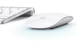 Apple Magic Mouse  (2)