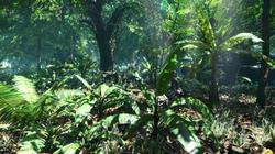 Crysis: Zurück zu GDC06-Grafikqulität mit getunter Config  (8)