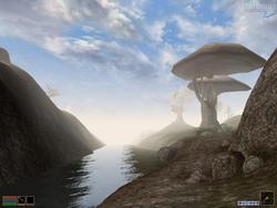 Morrowind, dritter Teil der Elder-Scrolls-Reihe, zeigte 2002 als einer der ersten Titel per Shader-Einsatz das berühmte Quecksilber-Wasser. Der Titel glänzt nicht gerade durch Einsteigerfreundlichkeit, ist dank umfangreicher Mods durch die Fangemeinde  bis heute interessant.