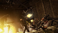 Gerücht: Aliens Versus Predator Demo kommt schon am Donnerstag! 