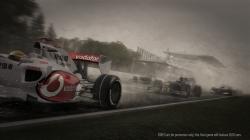 F1 2010 (5)