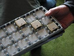 Gigabyte P55 Overclocking Event - Update: Die Sieger, 170 Bilder vom Event (50)