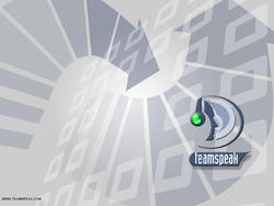 Screenshots aus Teamspeak 2 (43)