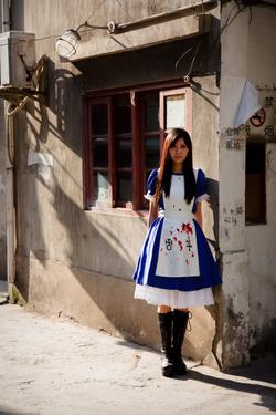 Alice-Modell (3)