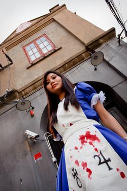 Alice-Modell (4)