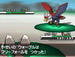 Pokémon: Black & White