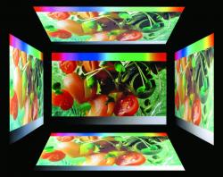 Eizo Blickwinkel