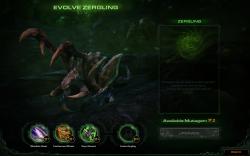Starcraft 2 Heart of the Swarm im Hands-on-Test auf der Gamescom (16)