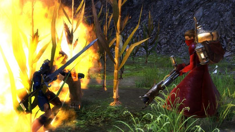 Guild Wars 2: Die Open-Beta befindet sich in der Vorbereitung (11)