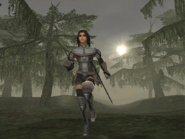Final Fantasy 11 Online (2)