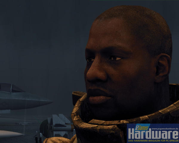 Crysis Closeups