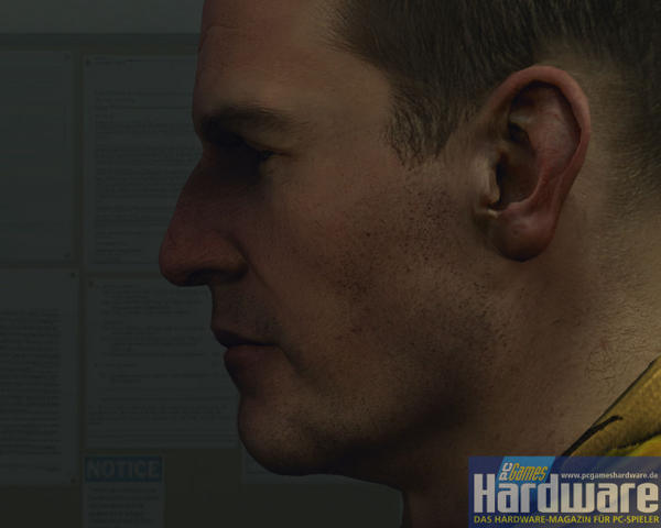 Crysis Closeups