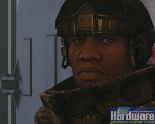 Crysis Closeups