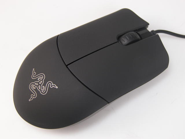 Razer Salmosa