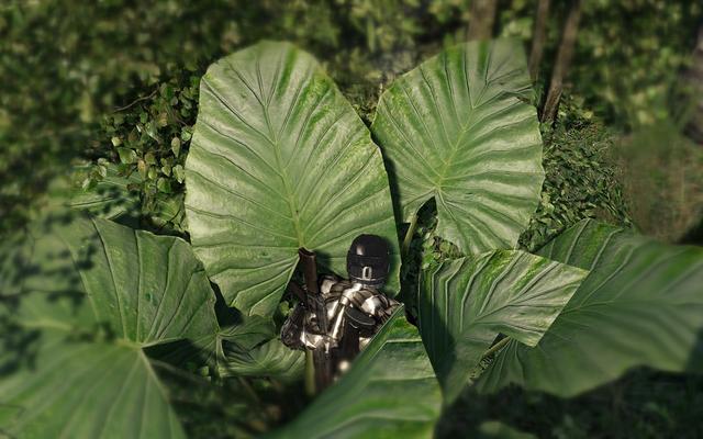 Crysis Warhead (Bild: Rygel)