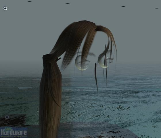 Tomb Raider - Underworld: Lustiger Grafikfehler