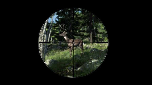 The Hunter: Screenshots zur Jäger-Simulation (2)