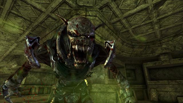 Dragon Age Origins (34)
