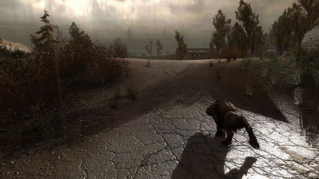 Stalker COP DirectX 11 by Jay.Gee (2)