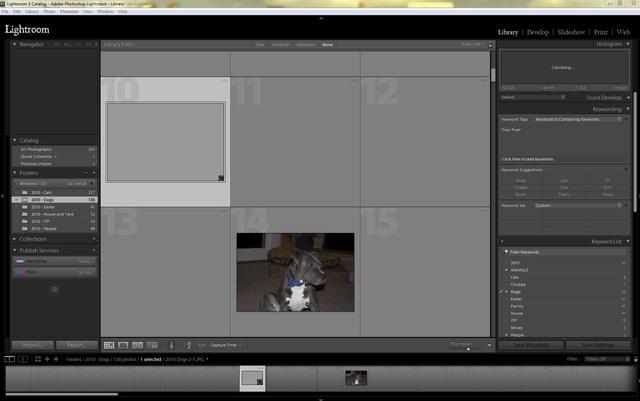 Adobe Lightroom 3.2 und Camera Raw 6.2 erhältlich (Im Bild: Adobe Lightroom 3)