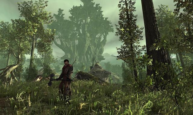 Gothic 4: Arcania (1)