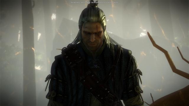 The Witcher 2: Gameplay- und Launch-Trailer erschienen - DLC werden frei erhältlich sein (2)