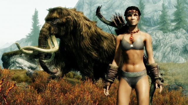 Elder Scrolls Skyrim