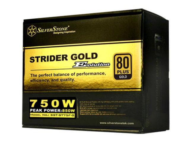Silverstone Strider Gold Evolution soll die Striker Gold-Reihe effizienter machen. (5)