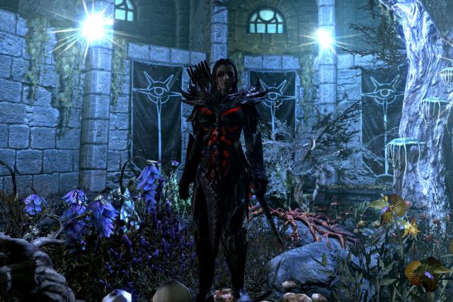 Skyrim-Charakter by Placebo
