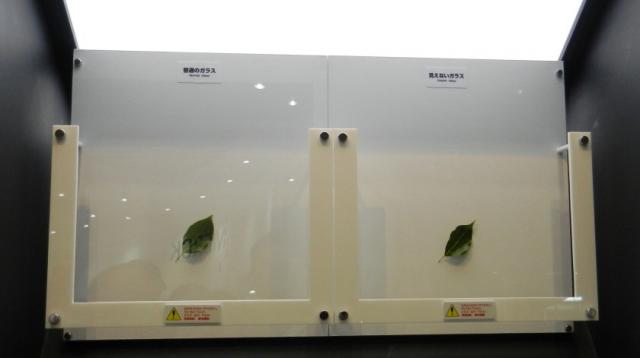 Links ist eine normale Glasscheibe, die bei LCDs eingesetzt wird. Rechts sehen Sie das so genannte 'unsichtbare Glas'. 