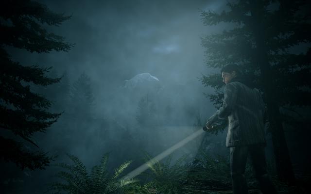 Alan Wake PC in Originalgröße