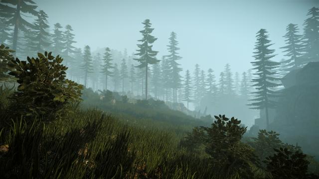 Cryengine 3-Mods: So schön könnte Alan Wake sein - Neue Screenshots zeigen stimmungsvolle Wälder (5)